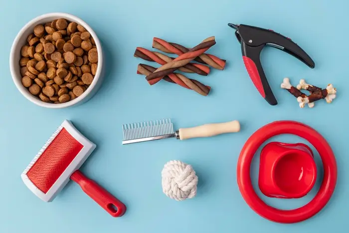 coton de tulear alimentation sante