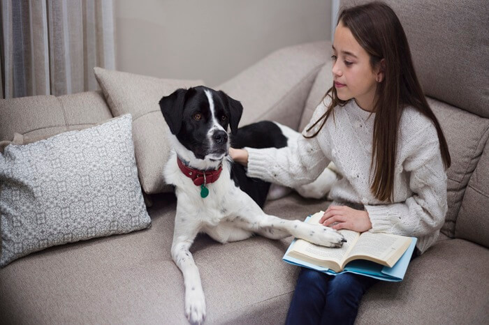 jeune fille éduquant son chien sur un canapé avec un livre